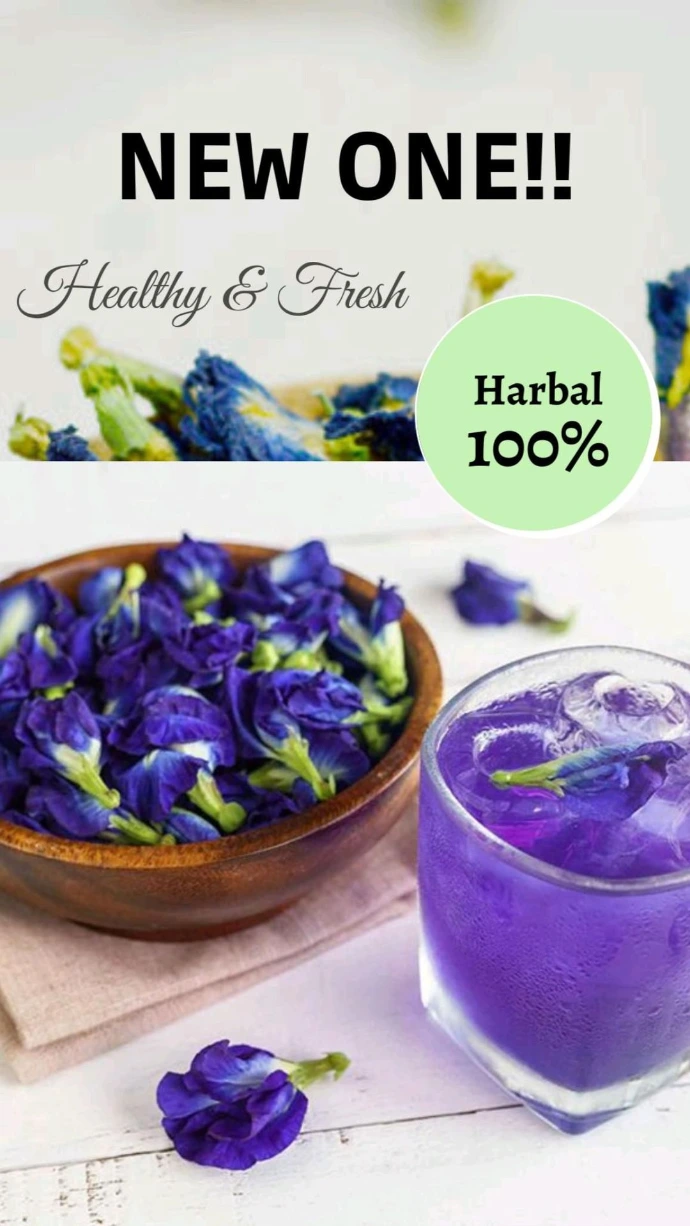 Buy Blue Tea Online