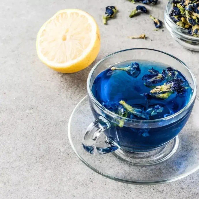 buy blue tea